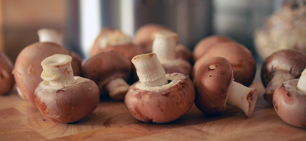 Fromage Blanc Stuffed Mushrooms